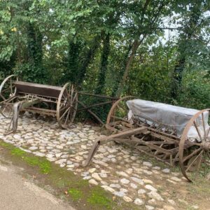 WhatsApp Image 2025-01-28 at 15.20.21